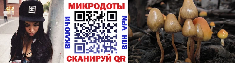 Псилоцибиновые грибы ЛСД Александровск-Сахалинский